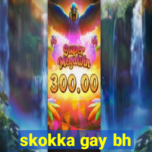 skokka gay bh